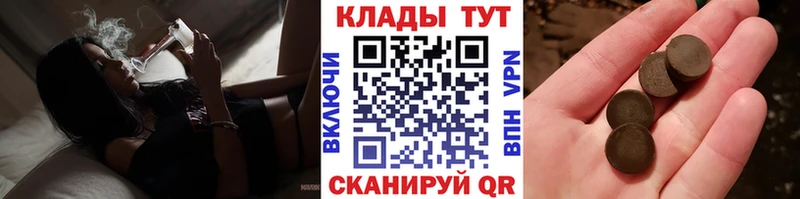 Купить наркотики сайты Пошехонье Гашиш  Cocaine  Мефедрон  A PVP  Канабис 