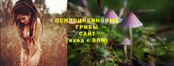 прущая мука Алексин