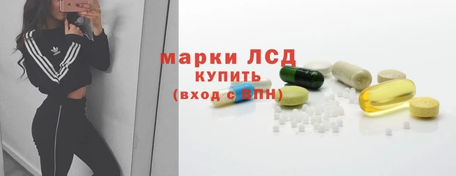 амф Алзамай