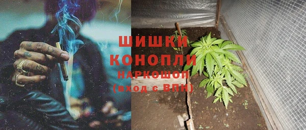 амф Алзамай