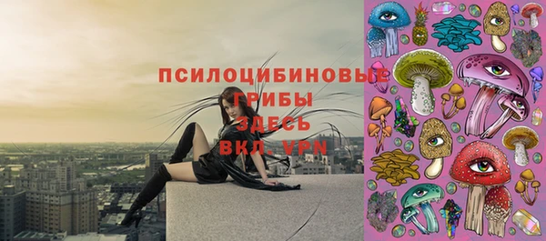 дурь Алексеевка